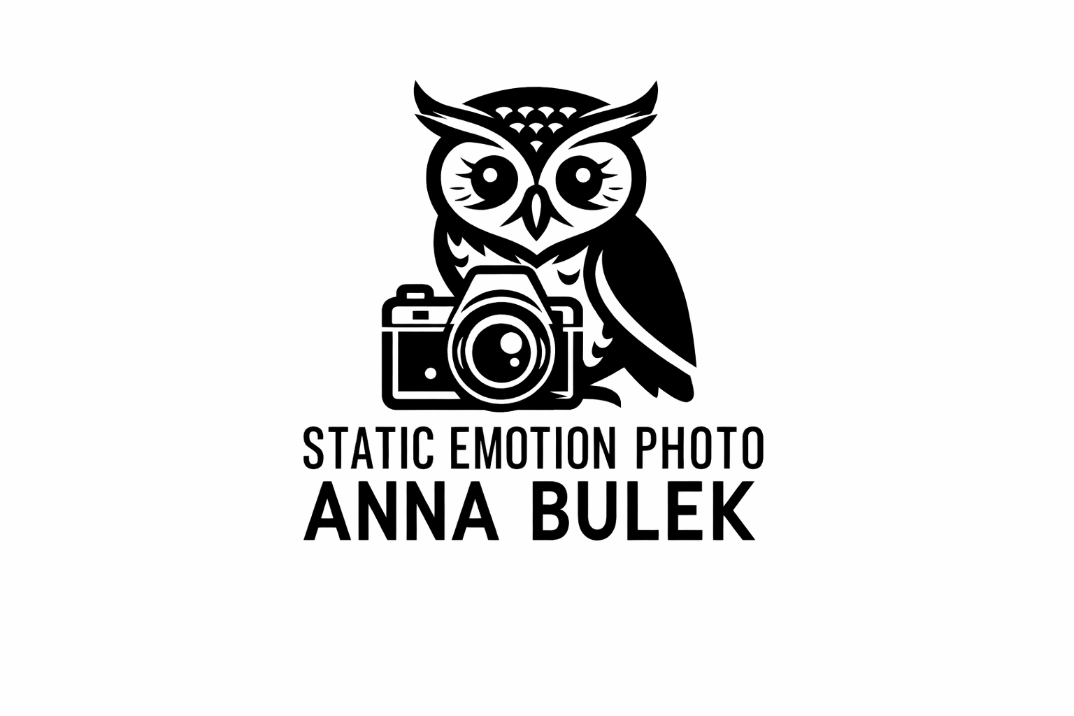 Static Emotion logo